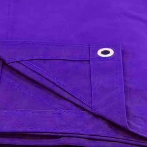 Tapete de Boxeo Personalizable Ecológico de Alta Calidad con MOQ Bajo, Fabricante OEM para Artes Marciales - Product Image 2