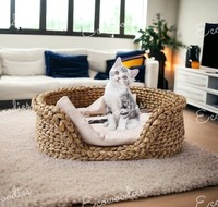 Joli nouveau lit rond en osier pour animaux de compagnie intérieur/extérieur écologique fabriqué à partir de tabouret en jacinthe d'eau en bambou pour chats domestiques