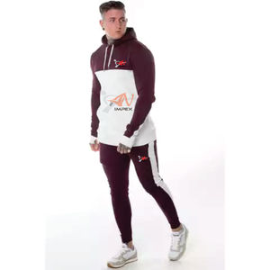 Chándal con Capucha y Logotipo Personalizado, Informal, de Dos Colores, de Alta Calidad, de Forro Polar, para Invierno, con Costuras Flexibles - Product Image 5