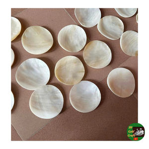 Cuillère et assiette en nacre artisanale, plat parfait pour le savon et le caviar, assiette en nacre pour un intérieur unique - Product Image 2