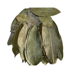 HOJAS DE SOURSOP SECAS | Recogidas a mano y secadas al aire | Annona Muricata - Product Image 2
