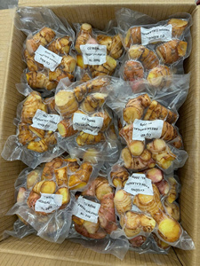 RACINE DE GALANGAL FRAIS DE HAUTE QUALITÉ/ESSENTIEL POUR UNE CUISINE AUTHENTIQUE/PRIX ABORDABLES/FABRIQUÉ AU VIETNAM - Product Image 4