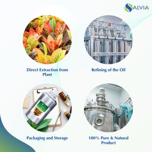 Aceite de crotón 100% puro y natural al por mayor a granel precio más bajo embalaje personalizado - Product Image 4