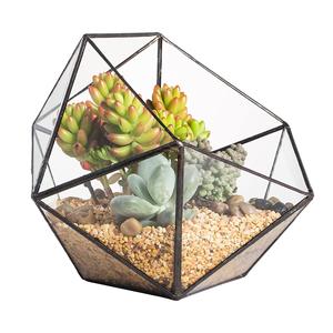 Terrarium en verre pour fêtes de Noël ou d'événements Terrarium en verre de qualité supérieure pour le salon ou la salle à manger Article utilisé pour la décoration - Product Image 5