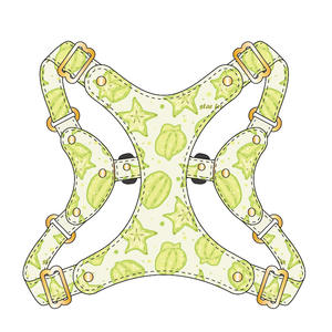 רתמת כלבים מתכווננת, סט רתמה ורצועה לכלבים קטנים, רתמה קלה ורכה לחיות מחמד, רתמה נגד חנק, רתמה נגד בריחה לחיות מחמד - Product Image 6