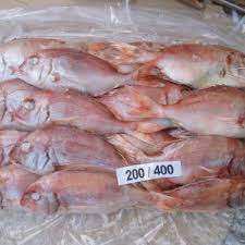 Poisson Rouge Entier Congelé de Haute Qualité, Pur, Biologique, Faible en Glucides, Processus BQF, Pack de 20kg en Gros, Prix de Gros, En Vente - Product Image 6