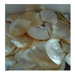 PRODUITS SEA SHELL!!! COQUILLES PERLES DU VIETNAM AVEC L'EXPORTATION HAUTEMENT STANDARD ET LE MEILLEUR PRIX POUR LA DÉCORATION - Product Image 5