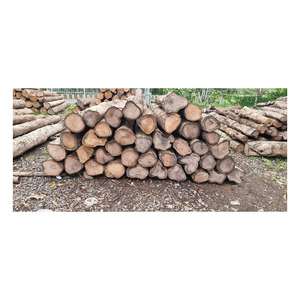 Bois de chauffage abordable en teck africain fourni pour les commandes en gros avec une livraison fiable dans le monde entier - Product Image 2