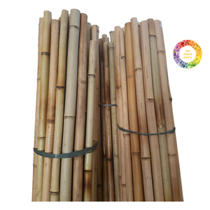 Postes de bambú de alta calidad de Vietnam-Precio barato, tamaño personalizado, ideal para decoración al aire libre, jardín y uso de muebles - Product Image 3