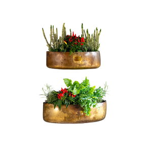 Maceta colgante de pared de hoja de metal con acabado de revestimiento de polvo de oro con maceta redonda montada en la pared con acabado antiguo de latón - Product Image 1