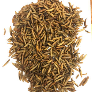 Gusanos secos de alta proteína para mascotas saludables/Ms.Katty - Product Image 4