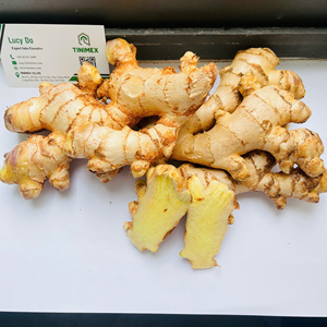 Shouga/gingembre frais jeune/Saenggang-Forte demande, nombreuses utilisations (WA: + 84362512699) - Product Image 3