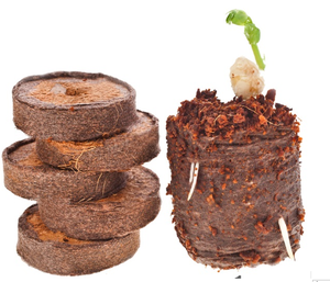 Upplier-Bloque de bloqueo ococomer, bloques de coco - Product Image 3