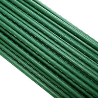 En mars, Supports de jardin en plastique extrudé pour tomates vertes et concombres, lot de 40 pièces, 11 mm x 180 cm