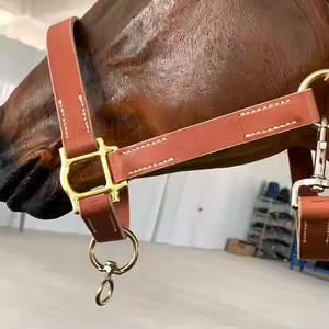 บังเหียนม้าขนาดพอเหมาะ - Product Image 2