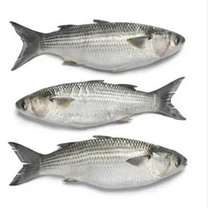 Compre pescado salmonete de grado premium barato - Product Image 3