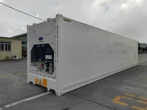 Contenedor refrigerado de congelación profunda de 20 pies aprobado por CSC para productos perecederos - Product Image 4