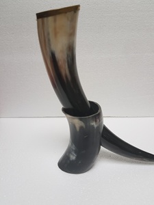 Cornes à boire Viking faites à la main en corne de buffle naturelle Tankards tasses de bière nordique religieuses écologiques pour les événements cadeaux de l'Inde - Product Image 3