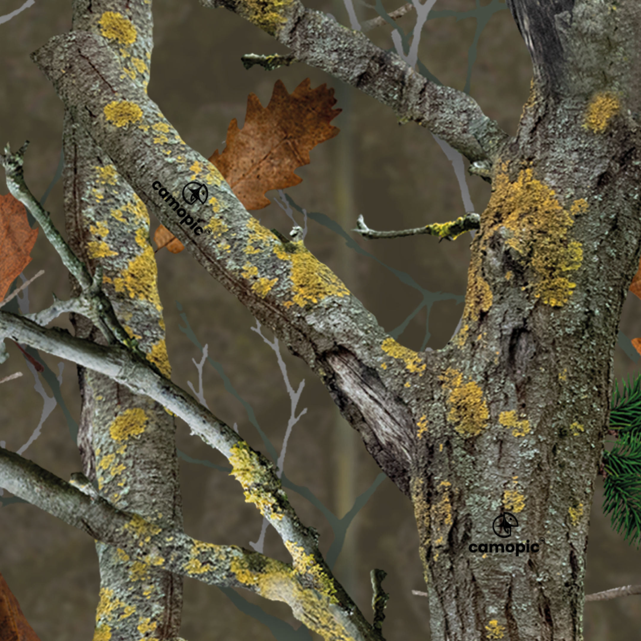 Camopic Biggame 3D Camouflage