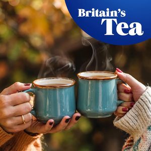 Tetley - Original <b>Tea</b> Bags 240 - 750g - Product Image 2