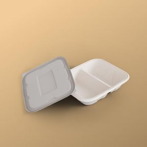 100% naturel biodégradable jetable canne à sucre 2 compartiments déjeuner conteneur 7X6 pouces assiettes compostables plats - Product Image 1