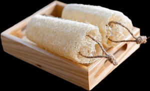 Brosse de bain luffa naturelle pour un nettoyage en profondeur et un rajeunissement de la peau - Product Image 5