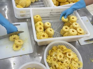 Mekong River Signature <b>Chewy</b> Pineapple Naturally Sweet Vietnam Soft Dried Fruit - Product Image 2