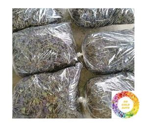 ชิโซและบริตตันใบงาแห้งสีเขียวพรีเมียมพร้อมข้อเสนอที่ดีที่สุดสำหรับตลาดโลก - Product Image 3