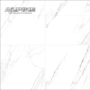 Azulejos de Porcelana para Pared y Suelo de 600x600 mm, Modelo ALPINE Elegance-GAGUAR WHITE, Superficie Brillante, Antibacterianos y Antideslizantes para Pasillo - Product Image 6