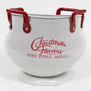 Jardinière extérieure Frostpine Charm avec aspect métallique antique conçue pour l'affichage des plantes d'hiver dans les jardins et les coins de balcon - Product Image 2