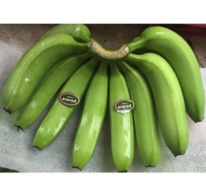 Plátano Cavendish fresco disponible para exportación 100% plátano Cavendish largo verde fresco natural con pegatina personalizada - Product Image 2