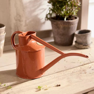 Arrosoirs décoratifs en fer |   Outils d'entretien des plantes pour la maison et le jardin, pour une utilisation en extérieur - Product Image 1