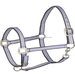 Hot Stylish Designer beaucoup de couleurs Nylon Cheval licou Personnalisé dépouillé conception Nylon licou pour cheval avec quincaillerie en nickel - Product Image 4