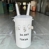 Transformador de Distribución Monofásico de Poste, Tipo II0/II6, de 10 Kv/480V y 167kVA, con Aceite, de Cobre y Aluminio, Marca ZhongShao