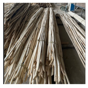 Bastón de mimbre de Vietnam ecológico, material respetuoso con el medio ambiente para tejer y fábricas de muebles - Product Image 1