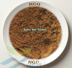 HGO Suministro directo de fábrica de extracto de raíz de Kudzu natural puro (grado alimenticio) Especificación Puerarin 50% (extracto estandarizado) - Product Image 2