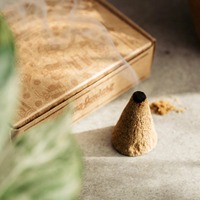 Cônes d'encens en bois parfumés pour fumigation, écologiques, 2 pouces, à l'anis étoilé, décoratifs pour la maison, utilisation toute saison