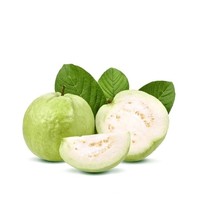 Wild Organic Guava Fruit Extract Poeder Voedingsmiddelkwaliteit voor Supplementen & Dranken Siammit Merk Groothandel Export Leverancier Uit Thailand