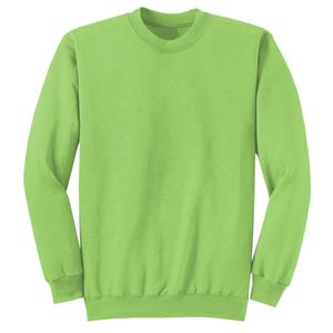 Haute qualité broderie personnalisée français éponge hommes sweat hiver surdimensionné col rond décontracté poids lourd grande taille sweats à capuche - Product Image 5