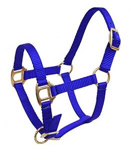 En vrac Nylon Cheval Halter Strass Licol En Laiton Matériel Confortable Forte Formation Halter En Gros Équestre Tack Supply - Product Image 3