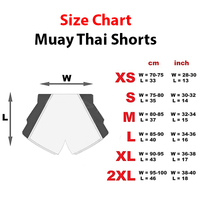 2023 équipement de combat Style boxe Kickboxing Muay Thai MMA entraînement vêtements de gymnastique Shorts Shorts MMA Gym boxe Kickboxing Short