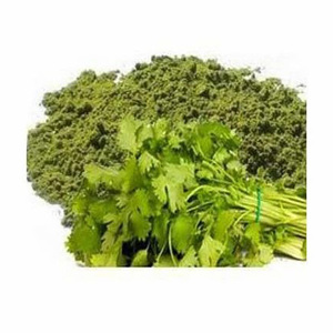 Hojas de cilantro en forma de polvo Agricultura a base de hierbas Verduras secas Hierbas individuales - Product Image 5