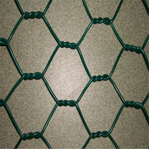 Açık Anti pas altıgen galvanizli örgü bahçe çit tavuk kümesi - Product Image 1