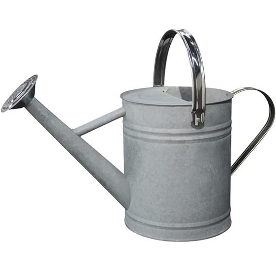 ตามที่แสดง