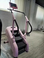 Steplimmeur Commercial BN pour Entraînement Cardio, Écran Tactile Intelligent, Robuste, Simulateur d'Escalade