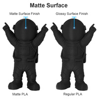 Filament PLA mat Geeetech 14 couleurs 1,75 mm Bobine de 1 kg Recharge PLA mat 10 rouleaux PLA mat noir 10 kg