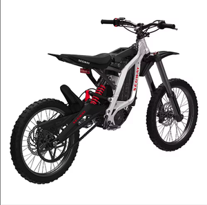 Nouvelle moto tout-terrain authentique x260 avec une autonomie maximale de 74,6 milles et une vitesse maximale de 46,6 mph - Argent, prête pour une livraison mondiale - Product Image 1