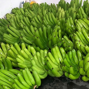Plátanos Cavendish Frescos de Primera Calidad - Calidad de Exportación Clase I - Suministro a Granel - Product Image 4