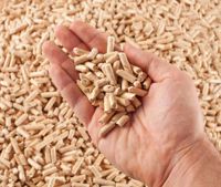 Granulés de bois de haute qualité pour l'exportation, 100% sans taxes