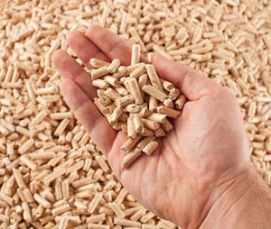 Granulés de bois de haute qualité pour l'exportation, 100% sans taxes - Product Image 6
